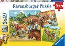 4005556092376 dzie%c5%84 w stadninie koni 3x49el. 092376 ravensburger sklep zabawki poznan mimi
