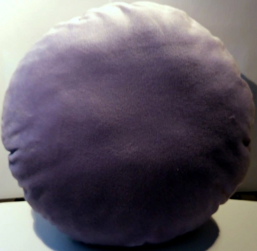 Poduszka okr%c4%85g%c5%82a witch taranee11768 1